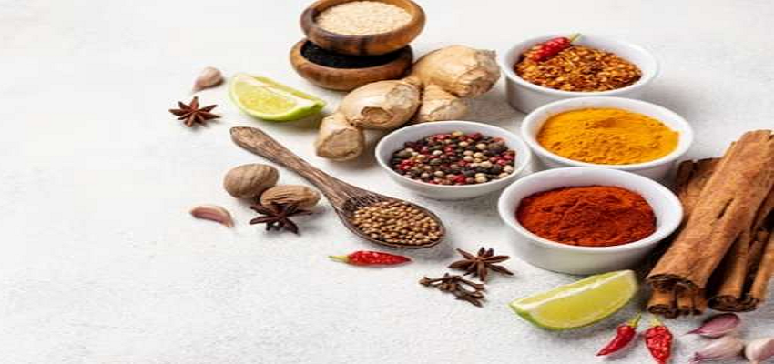 Health Tip: मानसून के दौरान इन बातों का रखें खास ख्याल, स्वस्थ रहने के लिए फॉलो करें ये आयुर्वेदिक टिप्स