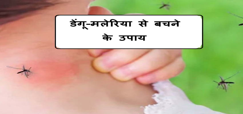 डेंगू-मलेरिया होने का शुरू हुआ सीजन, बचने के लिए घर में तैयार रखें ये 5 चीजें