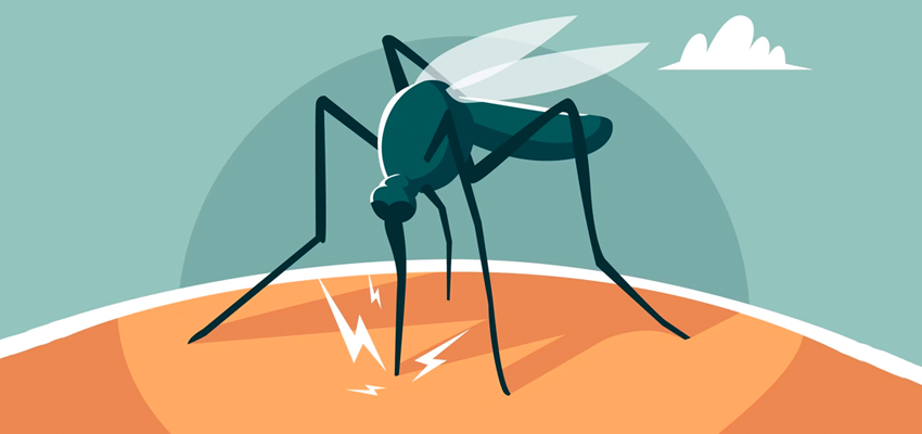 डेंगू के  मामलों ने तोड़ा  पिछले 5 साल का रिकॉर्ड, केजरीवाल सरकार ने जारी की एडवाइजरी