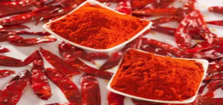 Red Chilli Side Effects: आप भी हैं लाल मिर्च पाउडर के शौकीन, तो हो जाइए सावधान, हो सकते है बड़े नुकसान
