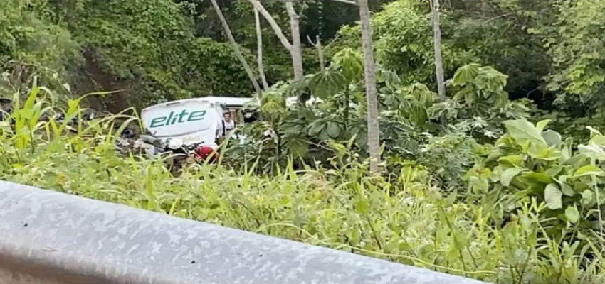 Mexico Bus Accident: अनियंत्रित होकर खाई में गिरी यात्रियों से भरी बस, 17 लोगों की मौत, दर्जनों घायल