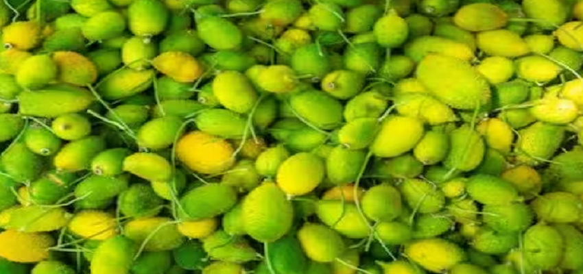 अगर करेले की सब्जी नहीं है पसंद तो इस चीज का करें सेवन, मिलेंगी जबरदस्त फायदे