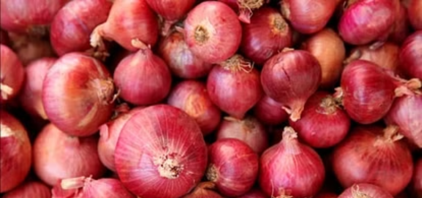 दिल्ली सरकार की ओर से जनता को तोहफा, इन जगहों पर मिलेगा सबसे सस्ता प्याज