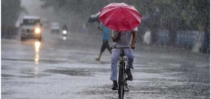 हरियाणा के इन जिलों में बारिश को लेकर IMD ने दी चेतावनी, जानें कब तक होगी बारिश?