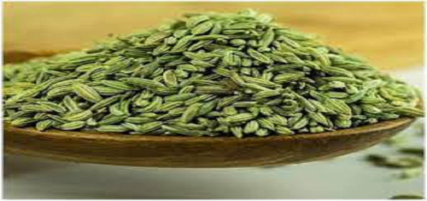 Health Tips: शरीर को स्वस्थ रखने के लिए सौंफ का करें सेवन, कैंसर समेत इन बीमारियों का खतरा होगा कम