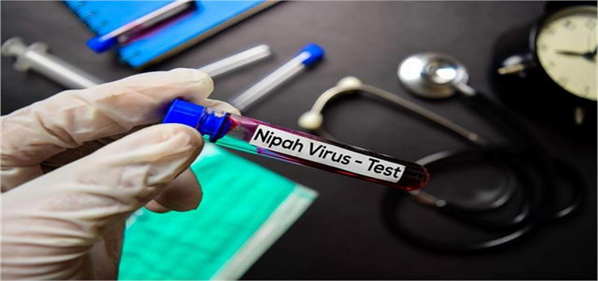 Nipah Virus:  कोरोना वायरस से कितना खतरनाक है निपाह वायरस, जानें इसके लक्षण और बचाव