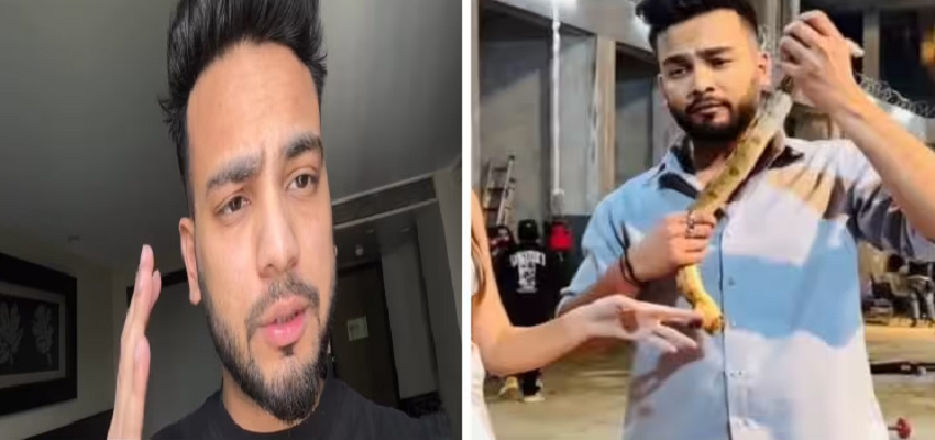 गमले चोरी...नफरत फैलाना..., सांप की तस्करी से पहले इस मामलों में फंस चुके हैं एल्विश यादव