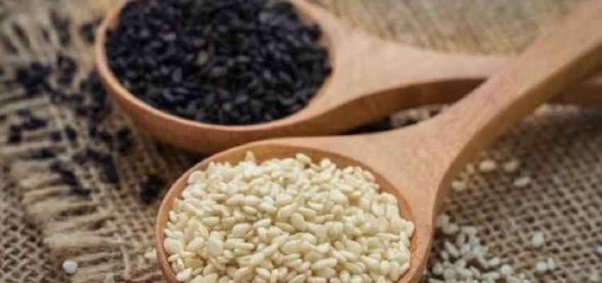 Health Tips: काला या सफेद...सर्दियों में कौनसा तिल है सेहत के लिए ज्यादा फायदेमंद
