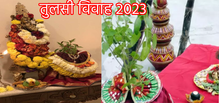 Tulsi Vivah 2023: क्यों किया जाता है तुलसी का विवाह, यहां जानिए इससे जुड़ी पौराणिक कथा