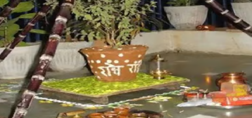 Tulsi Vivah 2023: भगवान शालिग्राम और तुलसी विवाह पर करें ये काम, आर्थिक तंगी से मिलेगा हमेशा के लिए छुटकारा