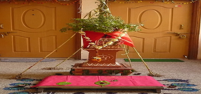 Tulsi Vivah: हम तुलसी विवाह क्यों मनाते हैं? जानें पूरी कहानी