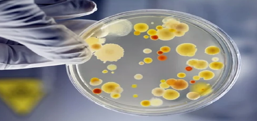 कोरोना के बाद दुनिया पर फिर मंडराया रहस्यमयी बीमारी का साया, चीन में तेजी से फैल रही ये बीमारी