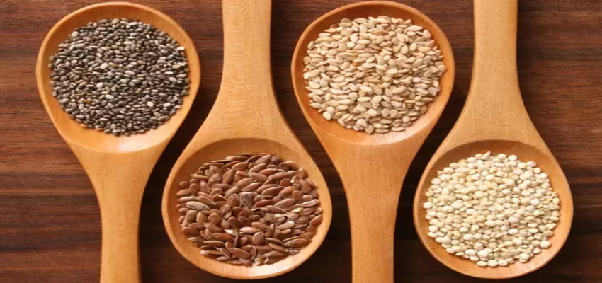 Health Tips: सर्दियों में करें इन सिड्स का सेवन, सेहत को मिलेंगे अनगिनत फायदे
