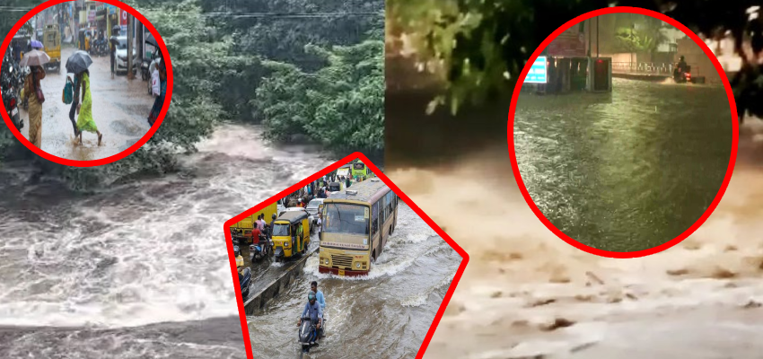 Tamil Nadu Red Alert: स्कूल-ट्रेनें बंद...जनजीवन अस्त-व्यस्त..., तमिलनाडु के इन जिलों में बरस रही आफत की बारिश