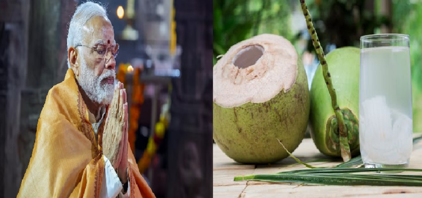 Health: PM मोदी 11 दिनों के व्रत में सिर्फ नारीयल का कर रहे सेवन, जानें व्रत में नारियल पानी पीने के फायदे