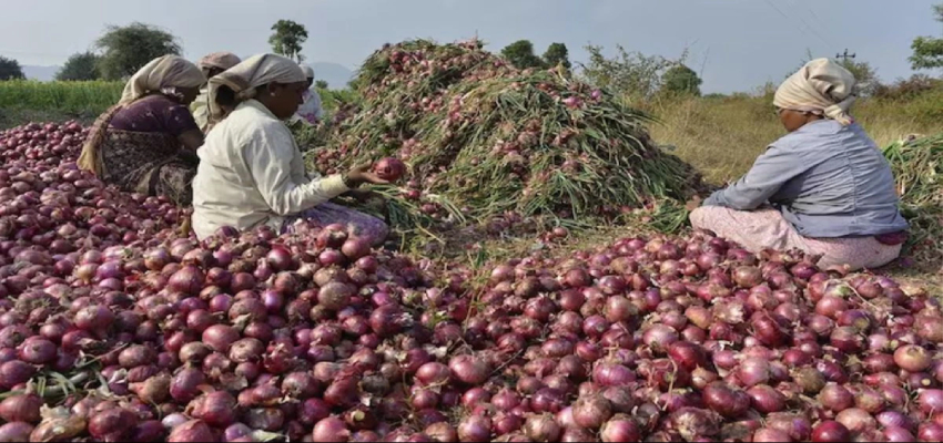 बढ़ने वाली है किसानों की आमदनी! प्याज को लेकर मोदी सरकार ने किया ये ऐलान