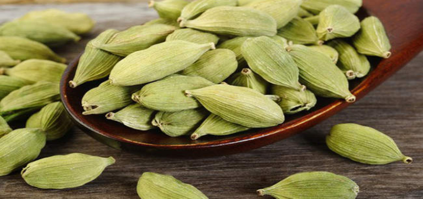 चेहरे से दाग-धब्बों का सफाया कर देगी छोटी सी हरी इलायची, ऐसे करें इस्तेमाल