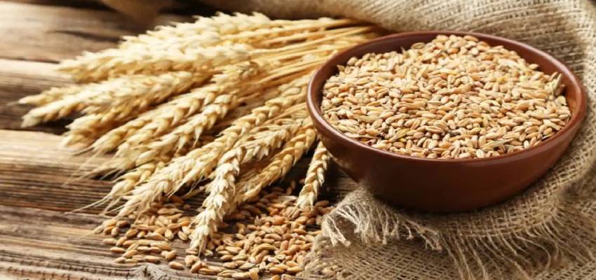 दिल के स्वास्थ्य से लेकर वजन नियंत्रण तक, गुणों का पावरहाउस होता है फ़ारो