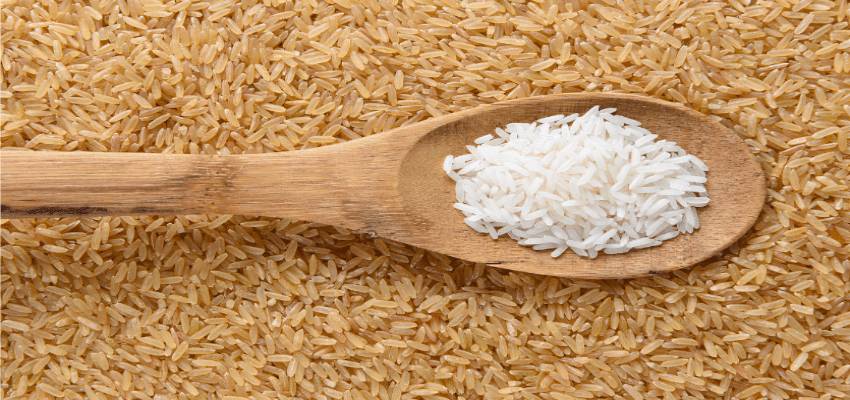 ब्राउन या सफेद चावल? सेहत के लिए कौन है ज्यादा फायदेमंद, जाने एक्सपर्ट्स की राय