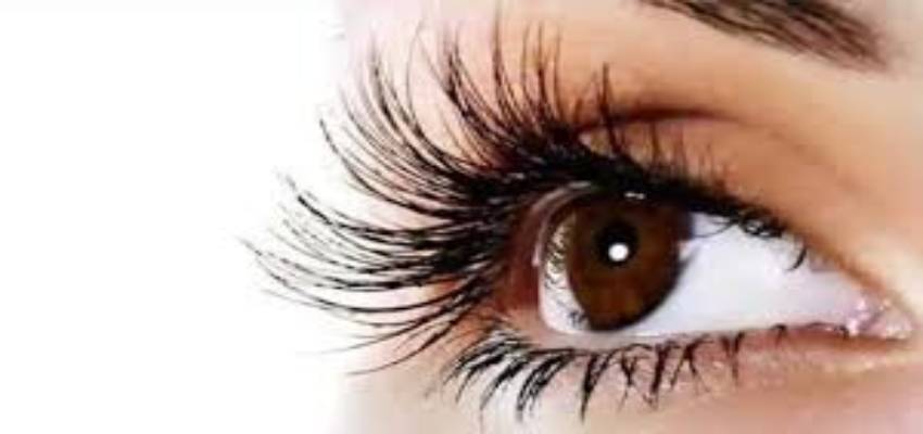 Health Tips: आंखों के लिए बेस्ट हैं ये 5 सुपरफूड्स, रोज खाने से तेज होगी Eyesight