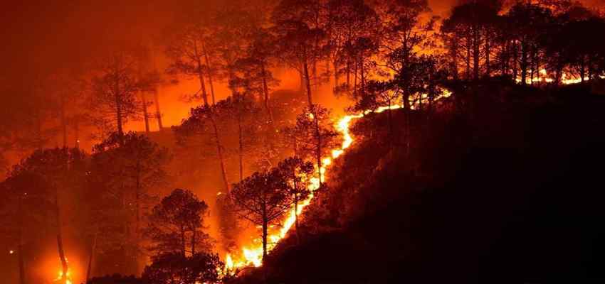 Uttarakhand Fire: उत्तराखंड में आग ने मचाया तांडव, दो लोगों की मौत; सीएम ने बुलाई हाई लेवल मीटिंग