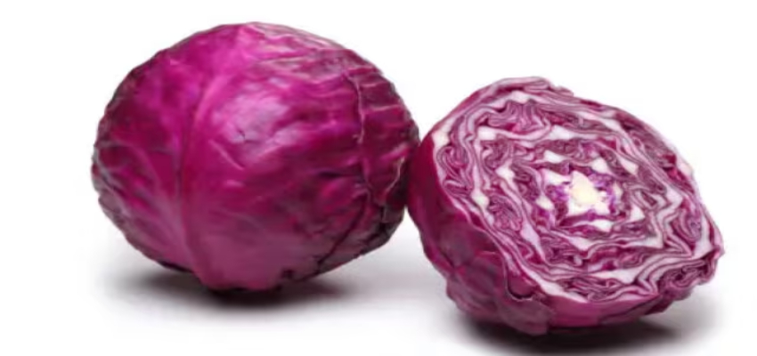 Health: इस गोभी के रंग पर ना जाए...बैंगनी है तो क्या हुआ पोषक तत्वों का है खजाना