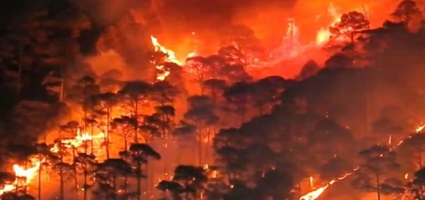 Uttarakhand Forest Fire: डराने लगे हैं उत्तराखंड के सुलगते जंगल, अब तक 1 हजार हेक्टेयर जलकर राख, 5 लोगों की मौत