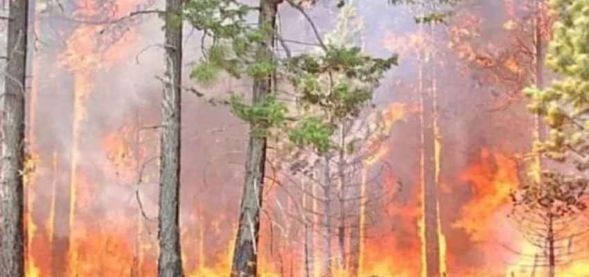 Uttarakhand Forest Fire: नहीं थम रही उत्तराखंड में लगी जंगलों की आग, 24 घंटों में 64 जगह को किया धुआं-धुआं