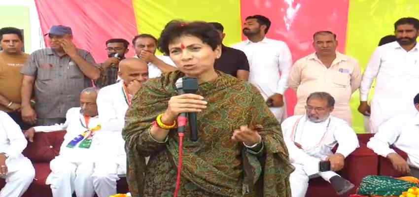 Haryana News: कांग्रेस प्रत्याशी कुमारी सैलजा ने किया गांवों का दौरा, किया तूफानी चुनाव प्रचार; भाजपा पर बरसीं