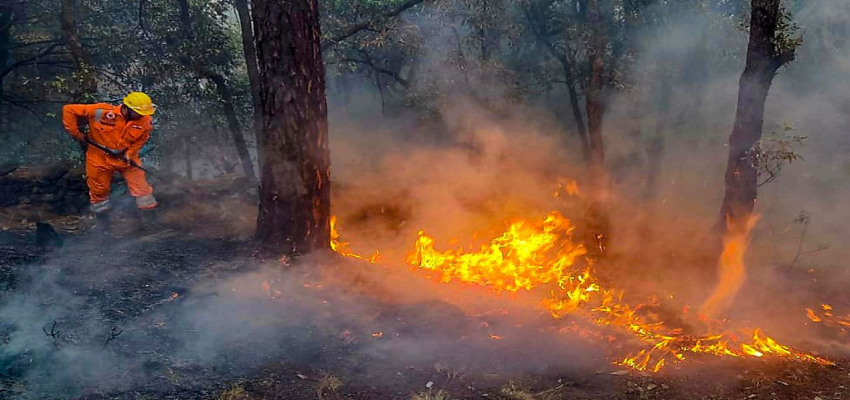 
												‘स्थिति कहीं ज्यादा भयावह’, उत्तराखंड के जंगलों में आग लगने को लेकर सुप्रीम कोर्ट सख्त, जमकर लगाई फटकार