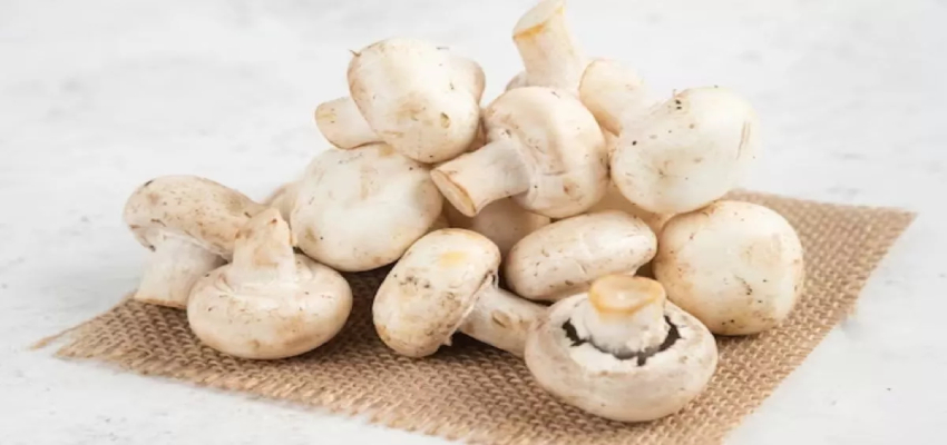 Mushroom Benefits: कोलेस्ट्रॉल कम करने से लेकर वजन घटाने तक, मशरूम खाने से होते  हैं गजब के फायदे