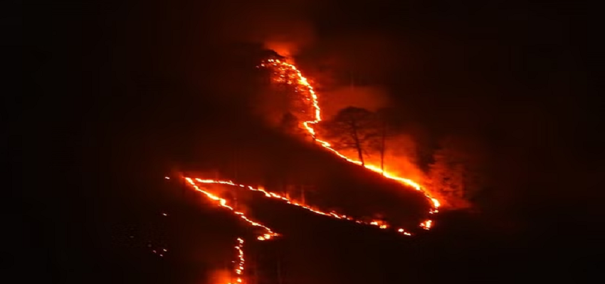 Uttarakhand Forest Fire: उत्तराखंड के 23 जंगलों में एक बार फिर धधकी आग, तीन लोगों के खिलाफ मुकदमा हुआ दर्ज