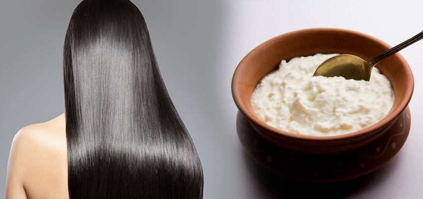 Summer Tips: गर्मियों बालों के लिए वरदान साबित हो सकता है दही, बस ऐसे करें इस्तेमाल