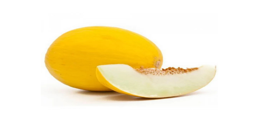 Sun Melon Benefits: गर्मियों में करें इस फल का सेवन, हार्ट अटैक से लेकर डिहाइड्रेशन की समस्या होगी दूर