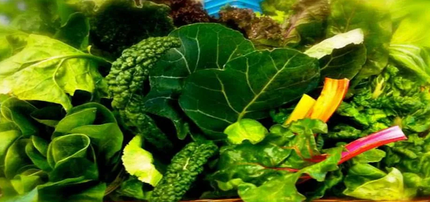 Health Update: हाइपरटेंशन में इन चीजों को अपने डाइट में करें शामिल, कंट्रोल में रहेगा ब्लड प्रेशर