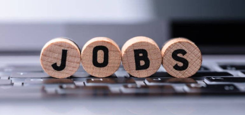 Government Job Vacancy 2024: बिजली विभाग में निकली बंपर भर्तियां, बैंक ऑफ बड़ौदा में भी मैनेजर बनने का मौका