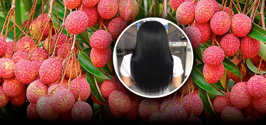 Hair Care Tips: गर्मियों में बालों के लिए भी बेहद फायदेमंद है लीची, ऐसे करें इस्तेमाल