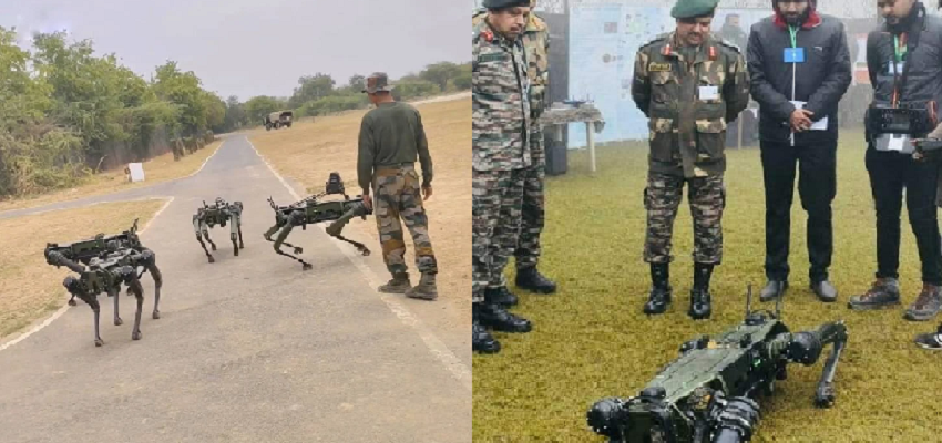ये कोई मूवी सीन नहीं...हकीकत है, अब दुश्मनों के छक्के छुड़ाएंगे भारतीय सेना के 'रोबो-डॉग्स', जानें खासियत