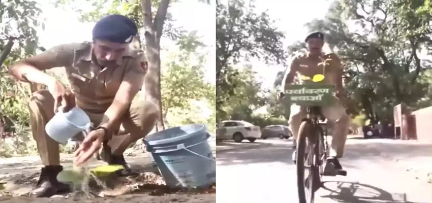 Haryana के पुलिस कांस्टेबल को दिया गया 'Tree Man of Haryana' का खिताब, पर्यावरण के लिए निभा रहे हैं अहम भूमिका