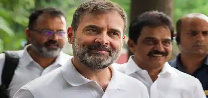 BJP के अभेद्य किले में सेंधमारी की तैयारी में राहुल गांधी, जानिए क्या है पूरा प्लान!
