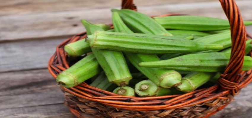 इस सब्जी के खेती से चमकी किसान की किस्मत, कम लागत में हो रहा बंपर मुनाफा