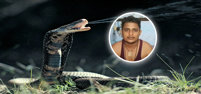 40 दिन में सांप ने 7 बार काटा...विकास के दावों में कितनी सच्चाई? CMO की जांच में खुली पोल