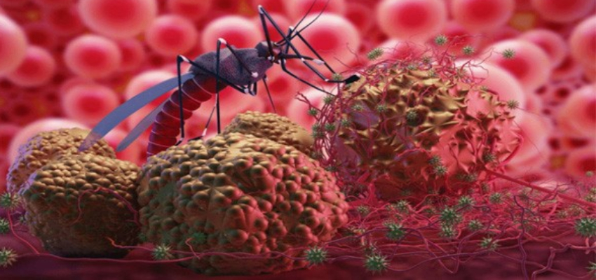 केरल में निपाह,गुजरात में चांदीपुरा और महाराष्ट्र में जीका... तीन राज्यों में अलग-अलग वायरस का आतंक