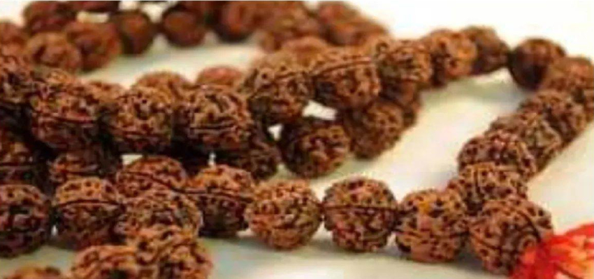 Rudraksh:  ये है दुनिया का सबसे महंगा रुद्राक्ष, जिसे खरीदने के लिए लाखों रुपये खर्च करते है लोग, जानें कारण