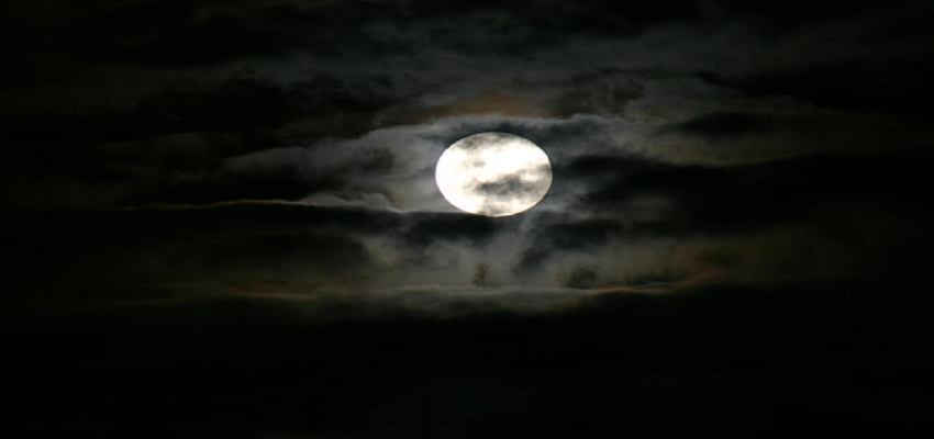 Darsh Amavasya 2024: दर्श अमावस्या पर शुभ मुहूर्त में करें पूजा, पितरों को मिलेगा मोक्ष