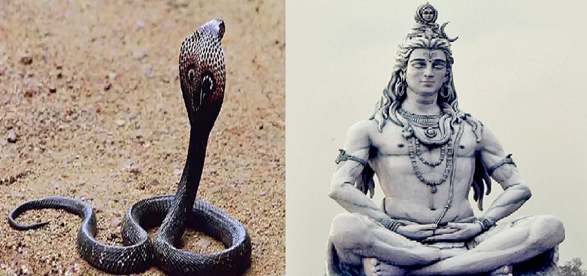 Nag Panchami 2024 : पूरे देश में आज मनाई जा रही नागपंचमी, जानें पूजा की विधि और मुहूर्त