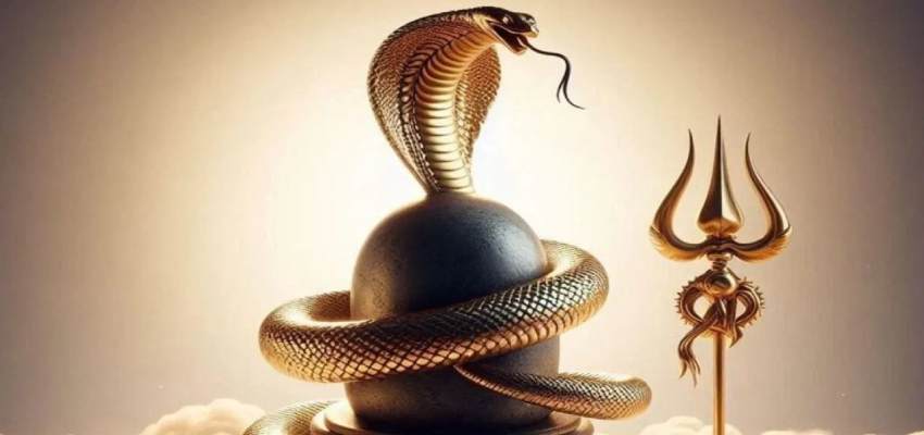 Nag Panchami: नाग पंचमी के अवसर पर रात में करें ये उपाय, होगी धन की बारिश