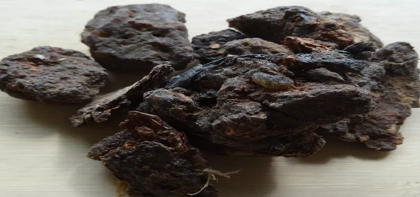 'शैतान का गोबर' भारत हर साल अफगानिस्तान से 1500 टन करता है आयात, जो भारतीय व्यंजनों का बढ़ाता है जायका