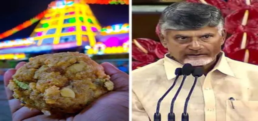 'शुद्ध घी की जगह जानवरों की चर्बी...', CM नायडू ने YSRCP सरकार पर लगाया बड़ा आरोप