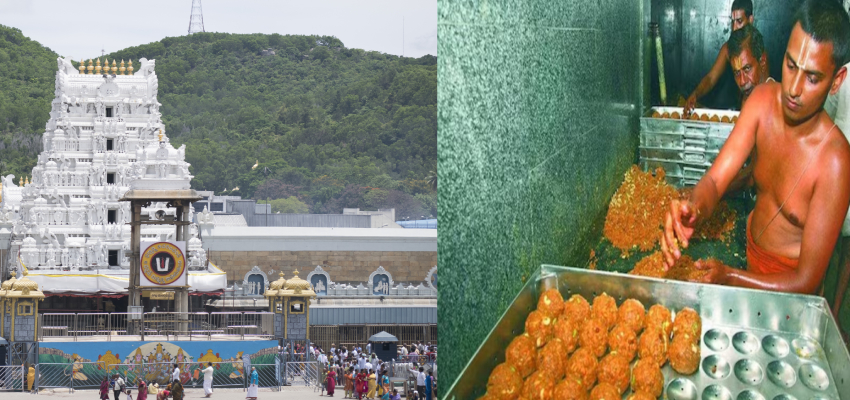 Explainer: 'शुद्ध घी की जगह जानवरों की चर्बी...',  नेशनल डेयरी डेवलपमेंट बोर्ड ने किया कंफर्म, समझिए जांच रिपोर्ट में क्या-क्या है?